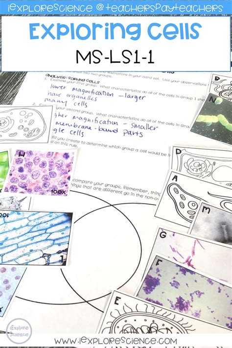 We did not find results for: This bundle of activities is a great project for learning ...