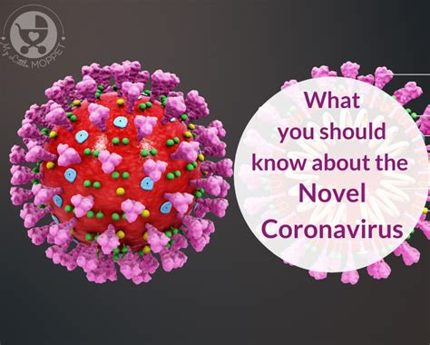 Submitted to state of california and revised december 8. What you need to know about the Novel Coronavirus