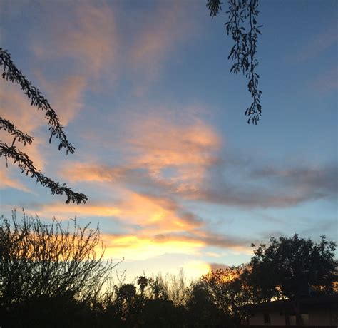 Sunset from the backyard, Phoenix, AZ | Sunrise, Sunset, Backyard