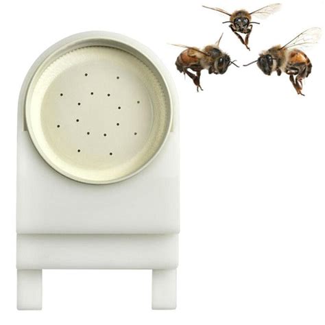 Bee Feeder Simple Premium Plastic Durable Beehive Feeder