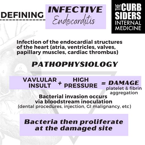 312 Infective Endocarditis The Curbsiders