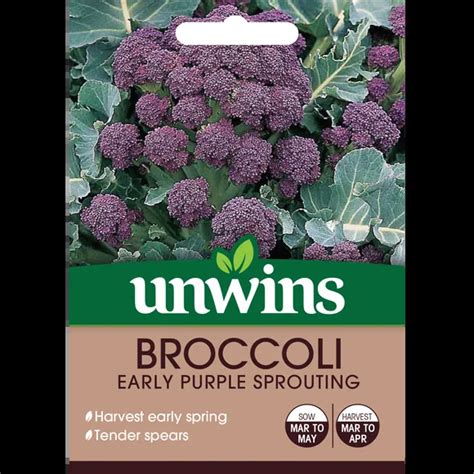 Broccoli Early Purple Sprouting Seed Tullyvin Garden Centre