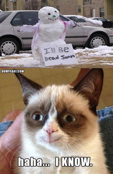 Grumpy Cat Christmas Snow Man Melting What Makes Grumpy
