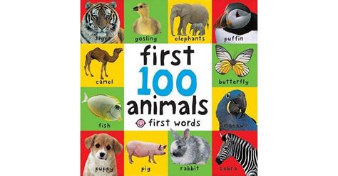 First 100 Animals First 100 Bright Baby First 100