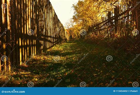 Between Fences Stock Photo Image Of Sunlight Season 113454452