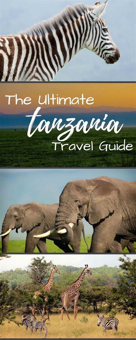 The Ultimate Tanzania Travel Guide Including Where To Go On Safari
