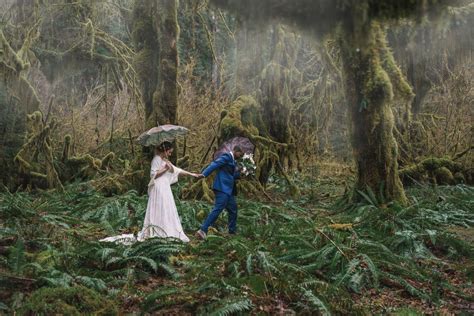 Hoh Rain Forest Visitor Center — Forks Wa Unique Wedding Venue Ideas