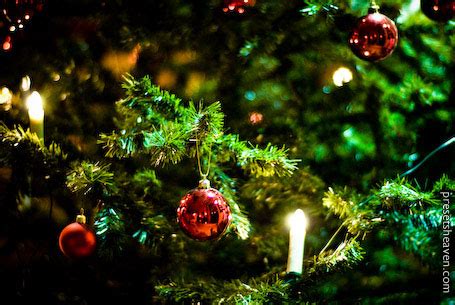 Find the perfect christmas tree image from our incredible photo library. A little Christmas touch - Presets HeavenPresets Heaven