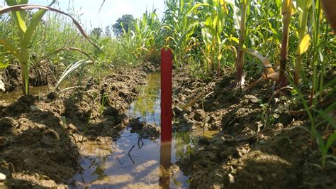 Assessing Drought Resistance In Soils Managed With Regenerative Organic