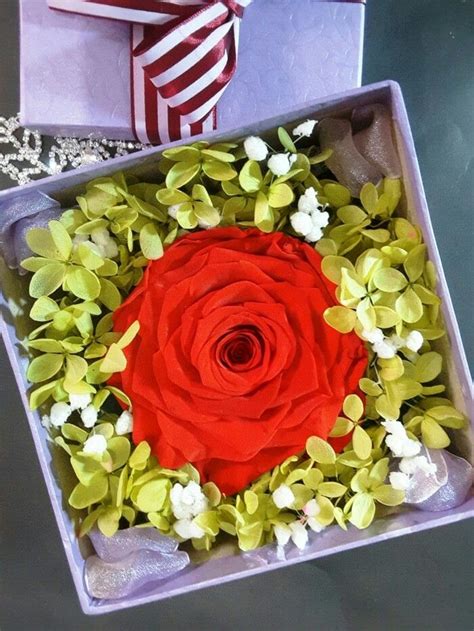 Beauty Red Rose Preserved Flower Contact Us Wa 085777119992