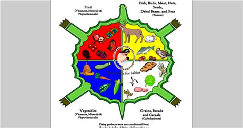 Health Education Native American Food Pyramid Native American Food American Food Food Pyramid