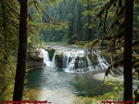 Maybe you would like to learn more about one of these? Lower Lewis River Falls Washington - Exploring My Life