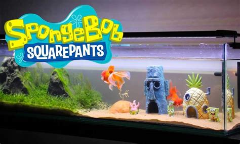 Top Spongebob Fish Tank Decorations And Setup Guide 2021