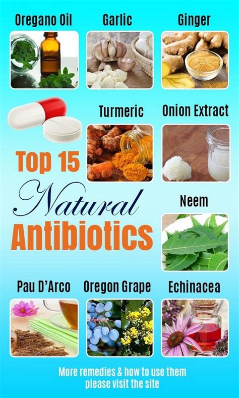Top 15 Natural Antibiotics You Should Know Gesundheit