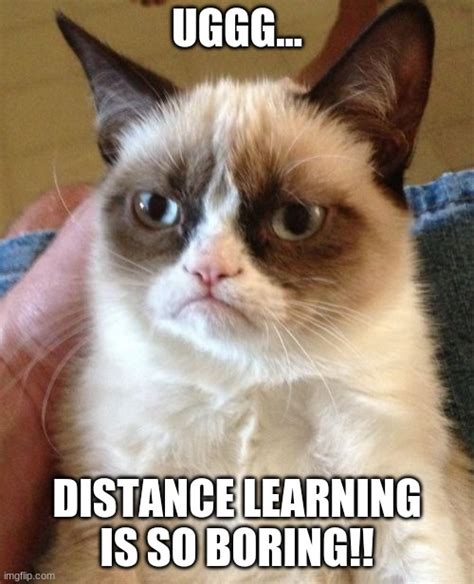 Distance Learning Imgflip