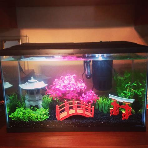 A Fish Tank Filled With Plants And Small Red Bridge In The Middle On