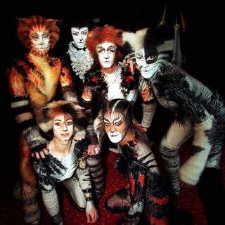 Free download hd or 4k use all videos for free for your projects. Carbucketty/Gallery | 'Cats' Musical Wiki | FANDOM powered by Wikia