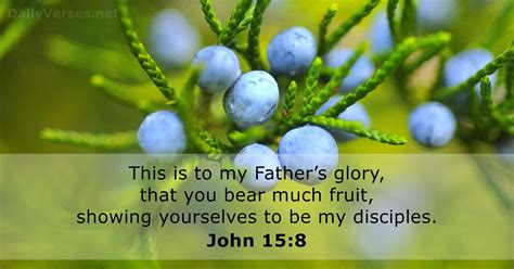 John 158 Bible Verse