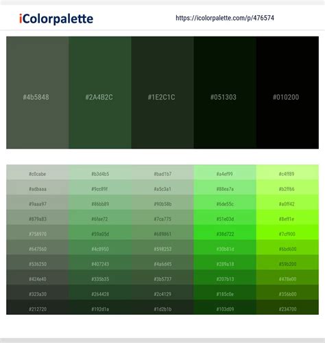 380 Latest Color Schemes With Black Forest Color Tone Combinations