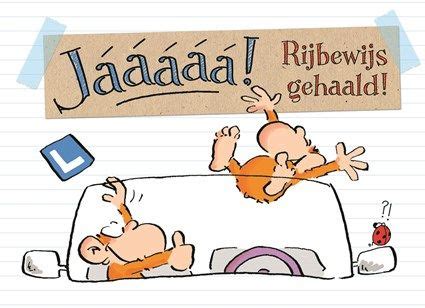 Door onze unieke en examen gerichte altijd geslaagd lesmethode kunnen wij met 110 wat kost een theorie cursus bij altijdgeslaagd? 17 beste afbeeldingen over Rijbewijs op Pinterest - Auto ...