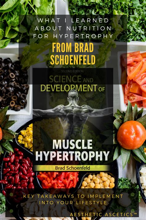 What I Learned About Nutrition For Hypertrophy From Brad Schoenfeld Nutrition Nutrient Timing