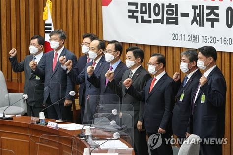 초선 의원 2명에 박근혜 정부 시절 청와대 정무수석을 지낸 김재원 전 의원(3선)과 검사 출신의 정미경. 국민의힘-제주도 예산정책협의회 | 연합뉴스