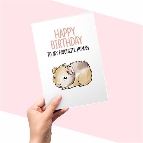 Cute Birthday Card From The Hamster Hamster Cards A5 300gsm Etsy