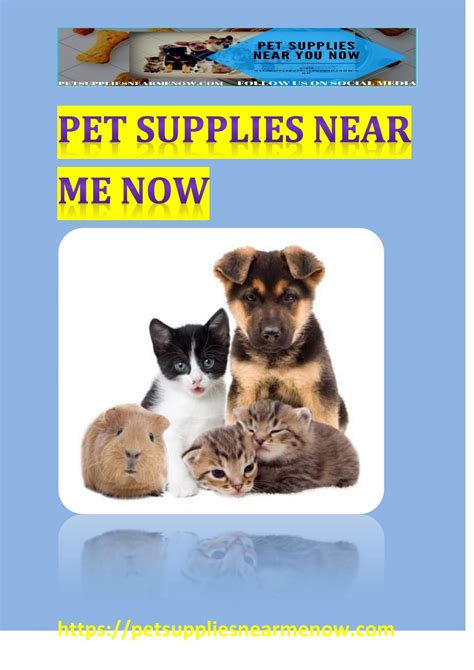 See the closest pet shops to your current location (distance 5 km). PET SUPPLIES NEAR ME NOW - THE BEST PET STORE NEAR ME NOW ...