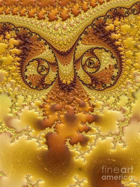 Fractal Digital Art Owl Abstract By Heidi Smith Abstract Digital