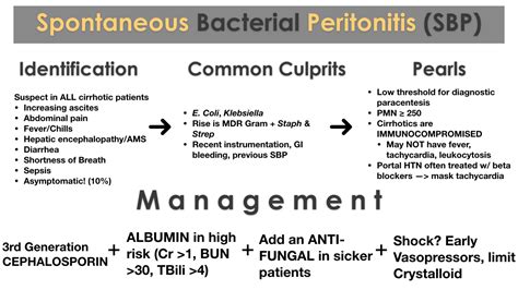 Spontaneous Bacterial Peritonitis Sbp Med Tac International Corp