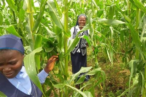 Cyclical unemployment refers to a state where there are large swings in unemployment due to adverse economic conditions like recessions. Learning ways to address poverty in Africa through field ...