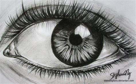 28 Eye Drawings Free Psd Vector Eps Drawings Download