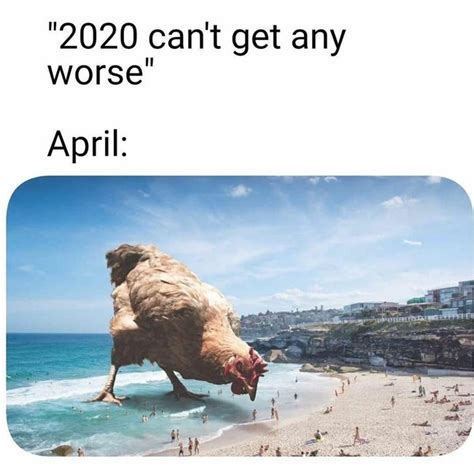 25 Clean Memes 2020 Funny Reviewed Ahead