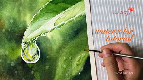 Cách Vẽ Giọt Nước Trên Lá How To Draw Water Drop On Leaf By Watercolor Youtube