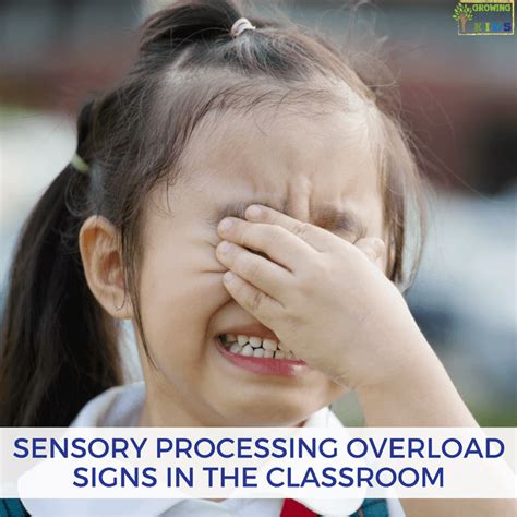 Sensory Processing Overload Signs In The Classroom Free Download