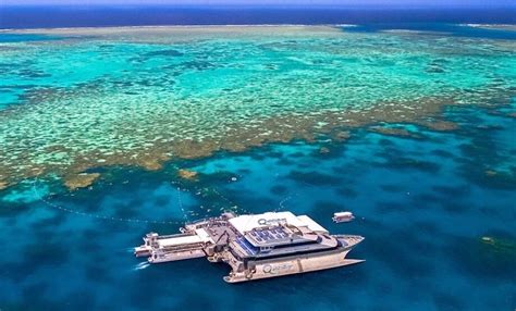A Beginners Guide To Australias Best Great Barrier Reef Tours