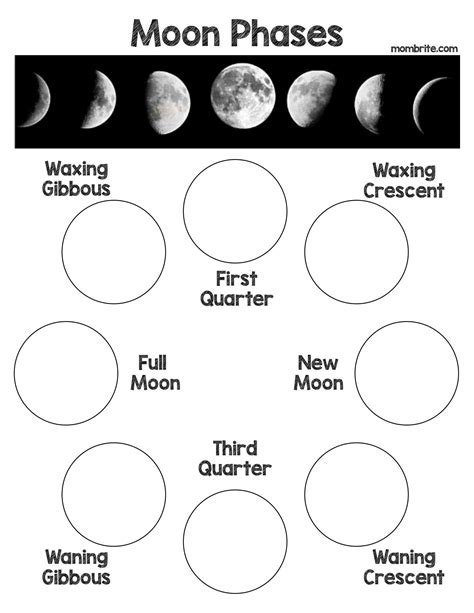 Phases Of The Moon Printable Worksheets Sinrefarmamiento