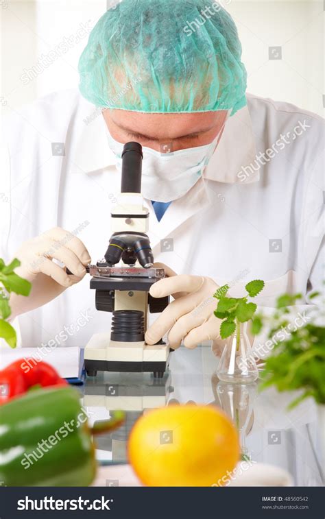 The two terms transgenic organism and genetically modified organism are commonly used interchangeably, but that is not always correct. Researcher Holding Up A Gmo Vegetable. Genetically Modified Organism Or Geo Here Transgenic ...
