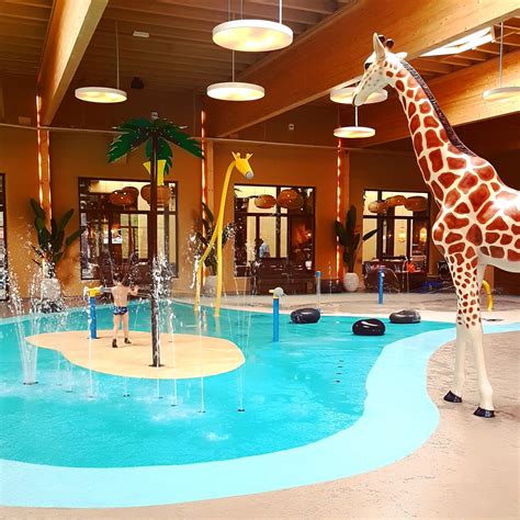 Daarna op safari of ontspannen in de maji springs. Safari Resort Beekse Bergen - zwembad 1 - Leuk met kids