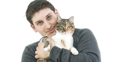 Why would my cat drink there are also many other common household foods and products that can cause toxicity in cats. Pet Care Articles Antifreeze Poisoning In Cats - PetPremium