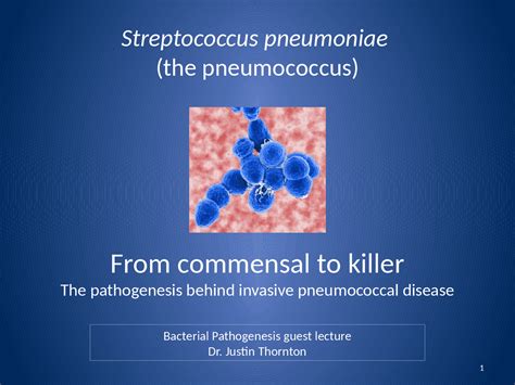 Streptococcus Pneumoniae Pathogenic Microorganisms Bio 4405 Docsity