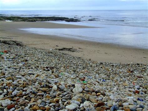 Seaham Beach Lots Of Sea Glass England Beaches Uk Beaches England