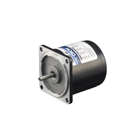 2 Pole Motor