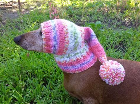 Winter Knitted Hat For Small Doghat For Dog In 2020 Winter Knit Hats Knitted Hats Dog Hat