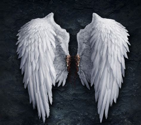 Top 97 Wallpaper Photos Of Angels With Wings Completed