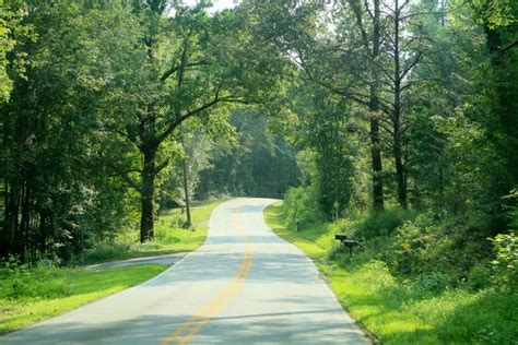 Take These 8 Country Roads In South Carolina For An Unforgettable