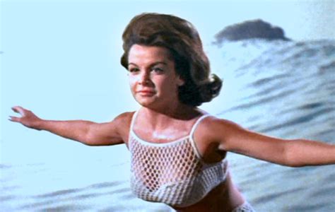 Annette Funicello Boobs Many Porn Categories Online For Free
