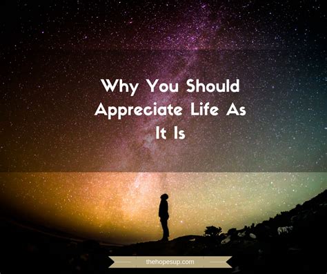 Why You Should Appreciate Life As It Is