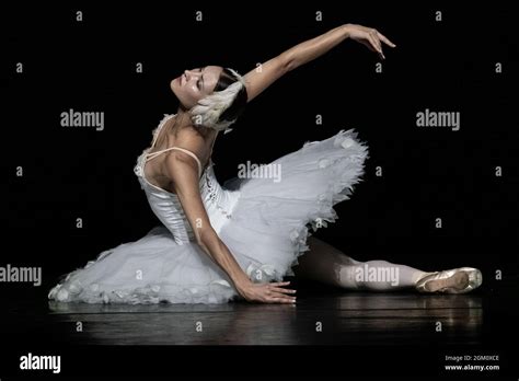 The Dying Swan Performed By Christine Shevchenko Part Of The Ukrainian Ballet Gala At Sadlers