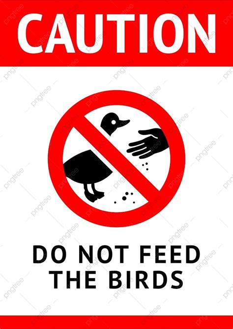 Do Not Feed Birds Poster Access Modern Png And Vector With